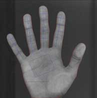 Hand sample 1 with extracted features.