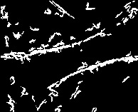 Hand sample 2 - extracted palm features.